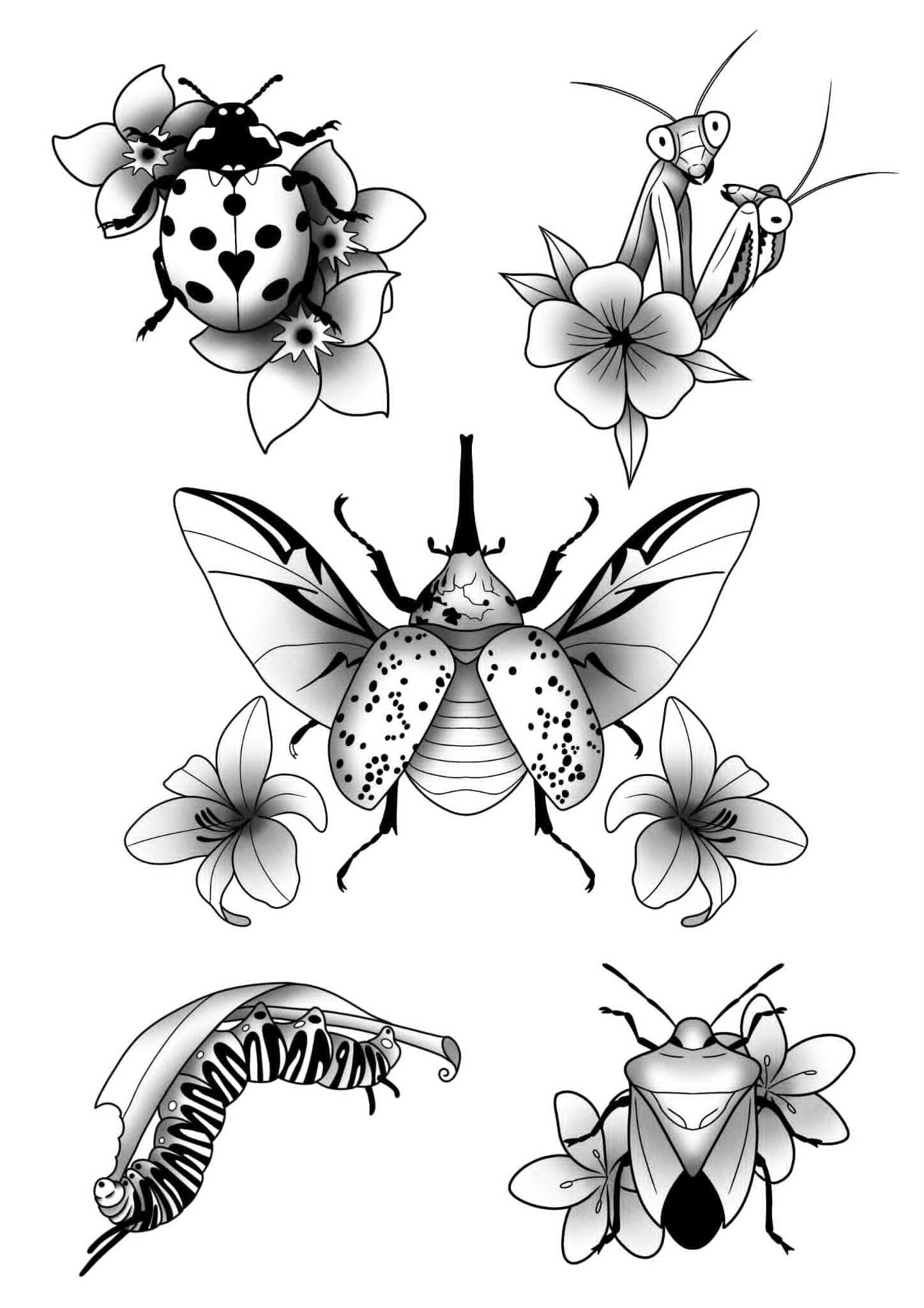 Insect Flash — Black & Grey