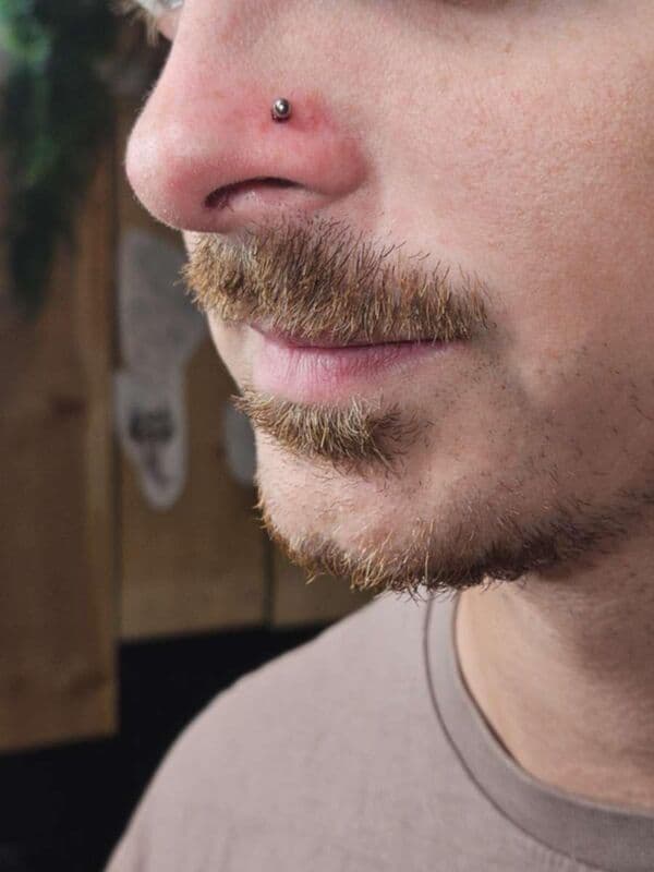 Nostril Stud