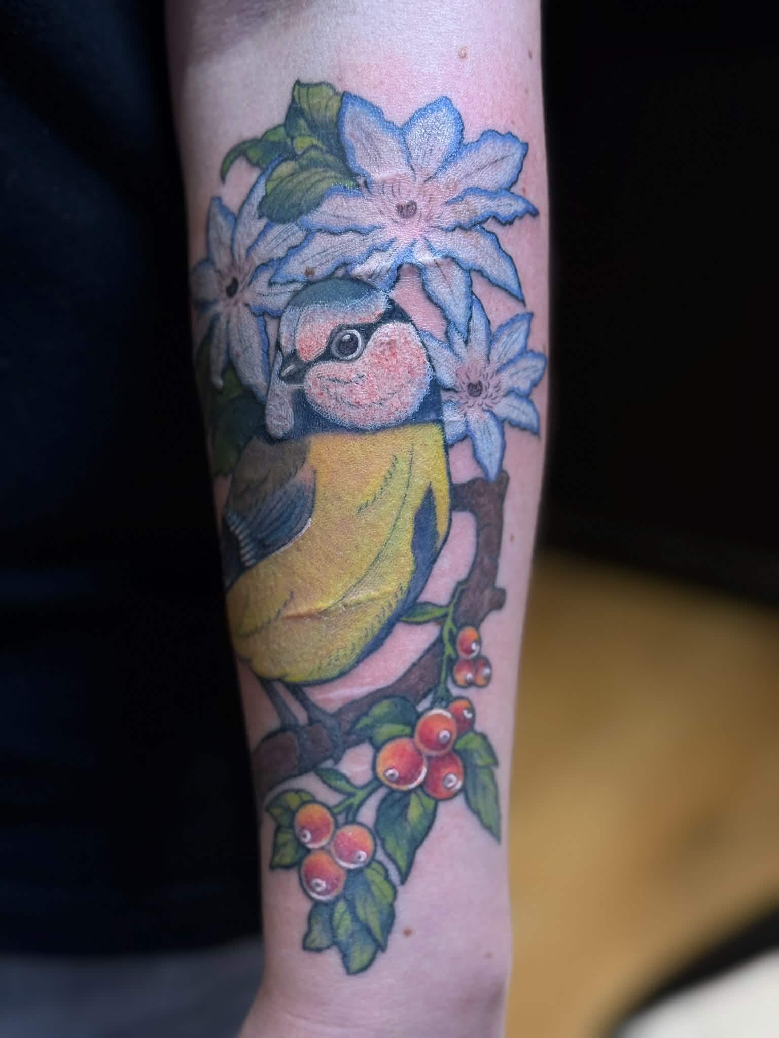 Blue Tit & Clematis