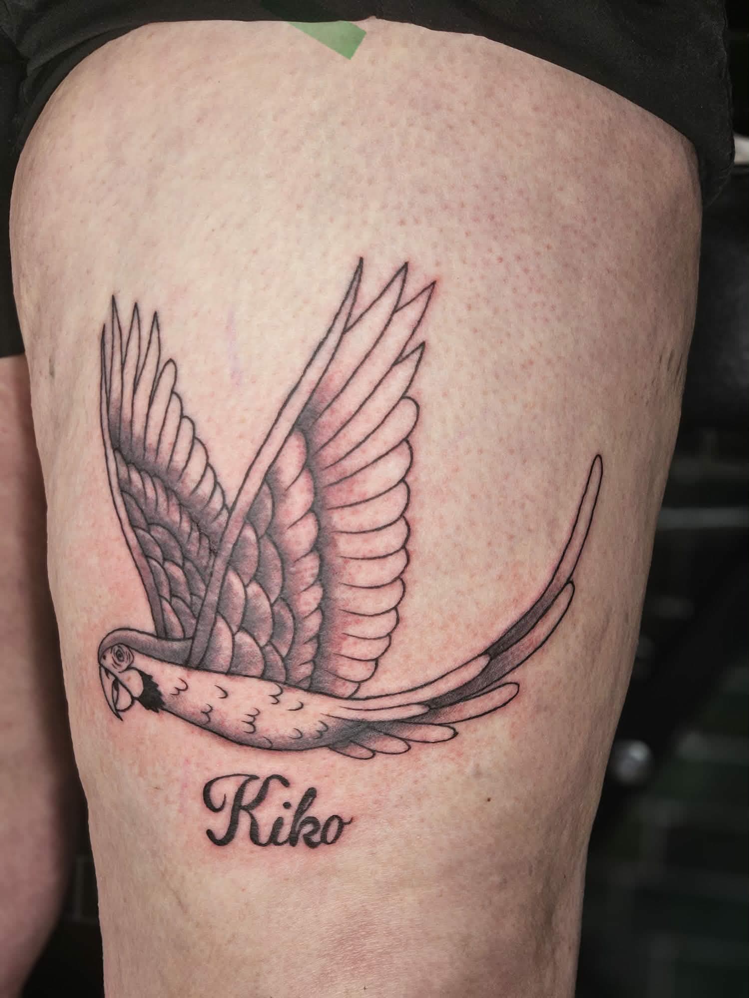 Parrot Memorial — Kiko