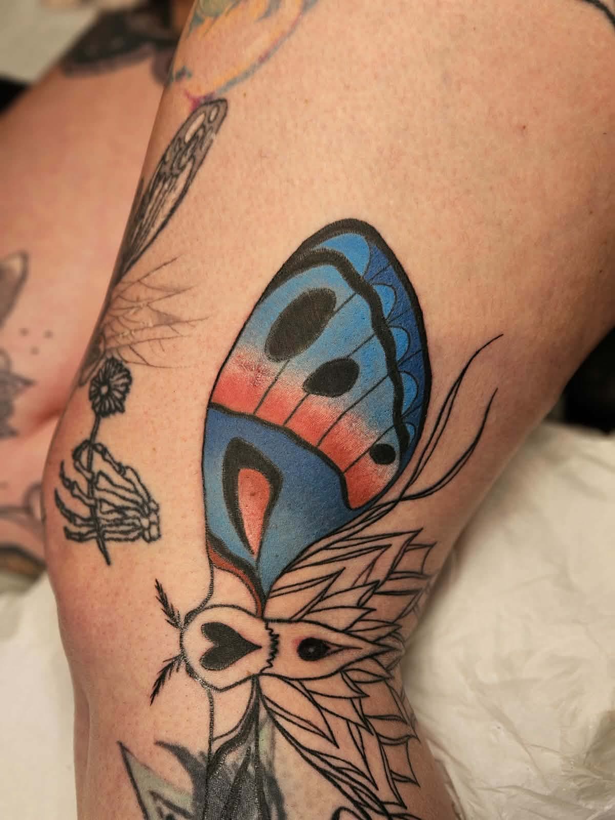 Blue Butterfly